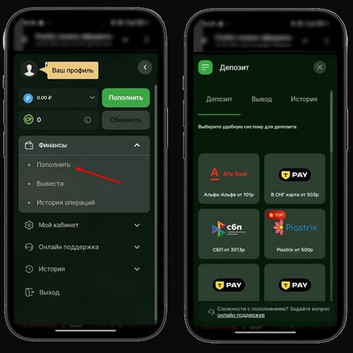 Способы оплаты в Riobet Casino